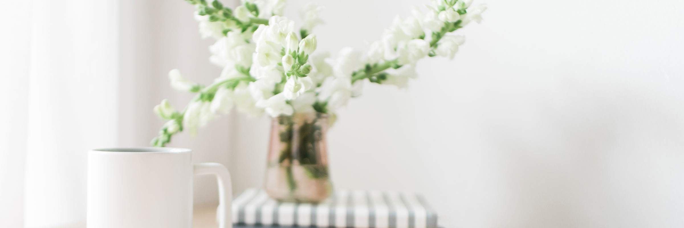 TwigyPosts-321-2400x800_c